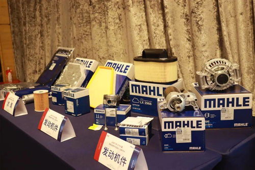 品牌引領(lǐng) 合作共贏 | 極配品牌專(zhuān)項(xiàng)活動(dòng)丨馬勒專(zhuān)場(chǎng)圓滿落幕 & 技術(shù)交流